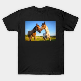 Companions#1 T-Shirt